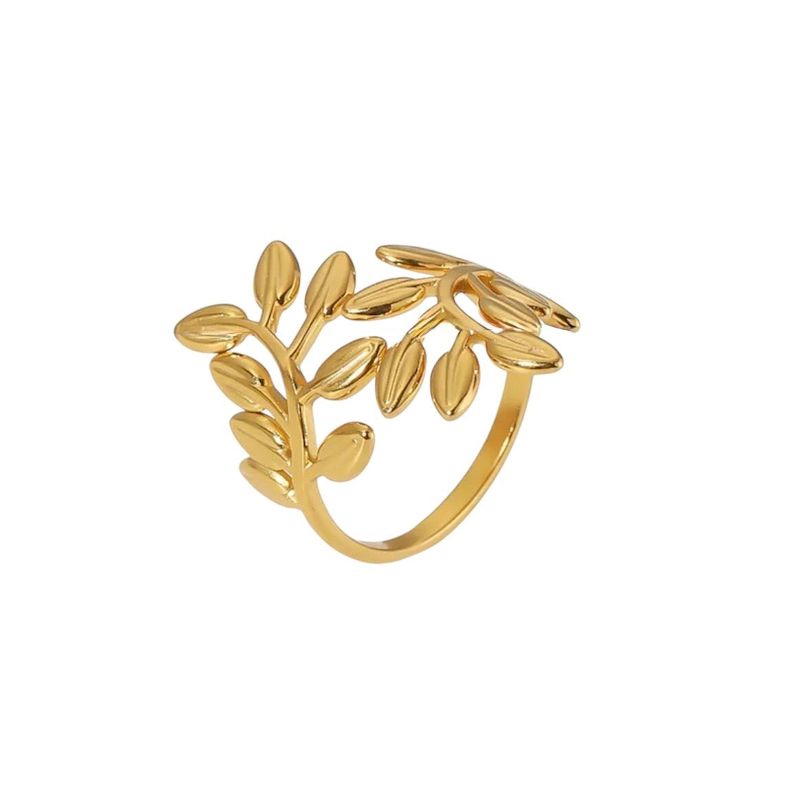 Alga ring